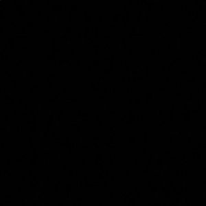 Meet your Posher, Zayne